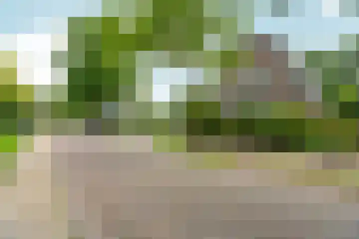 Roodwilligen 64 Zevenaar thumbnail 64