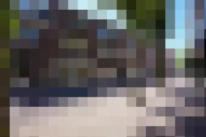 Roodwilligen 64 Zevenaar thumbnail 8