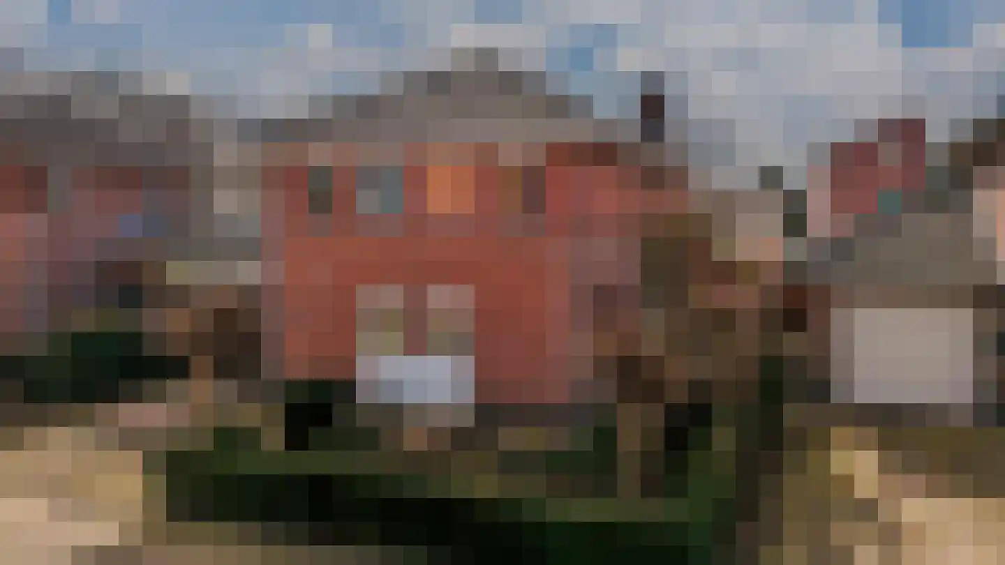 Roodwilligen 87 Zevenaar thumbnail 18