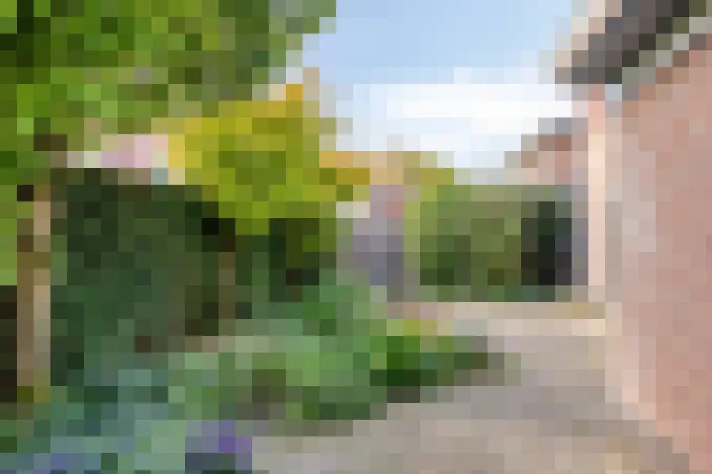 Roodwilligen 87 Zevenaar thumbnail 19