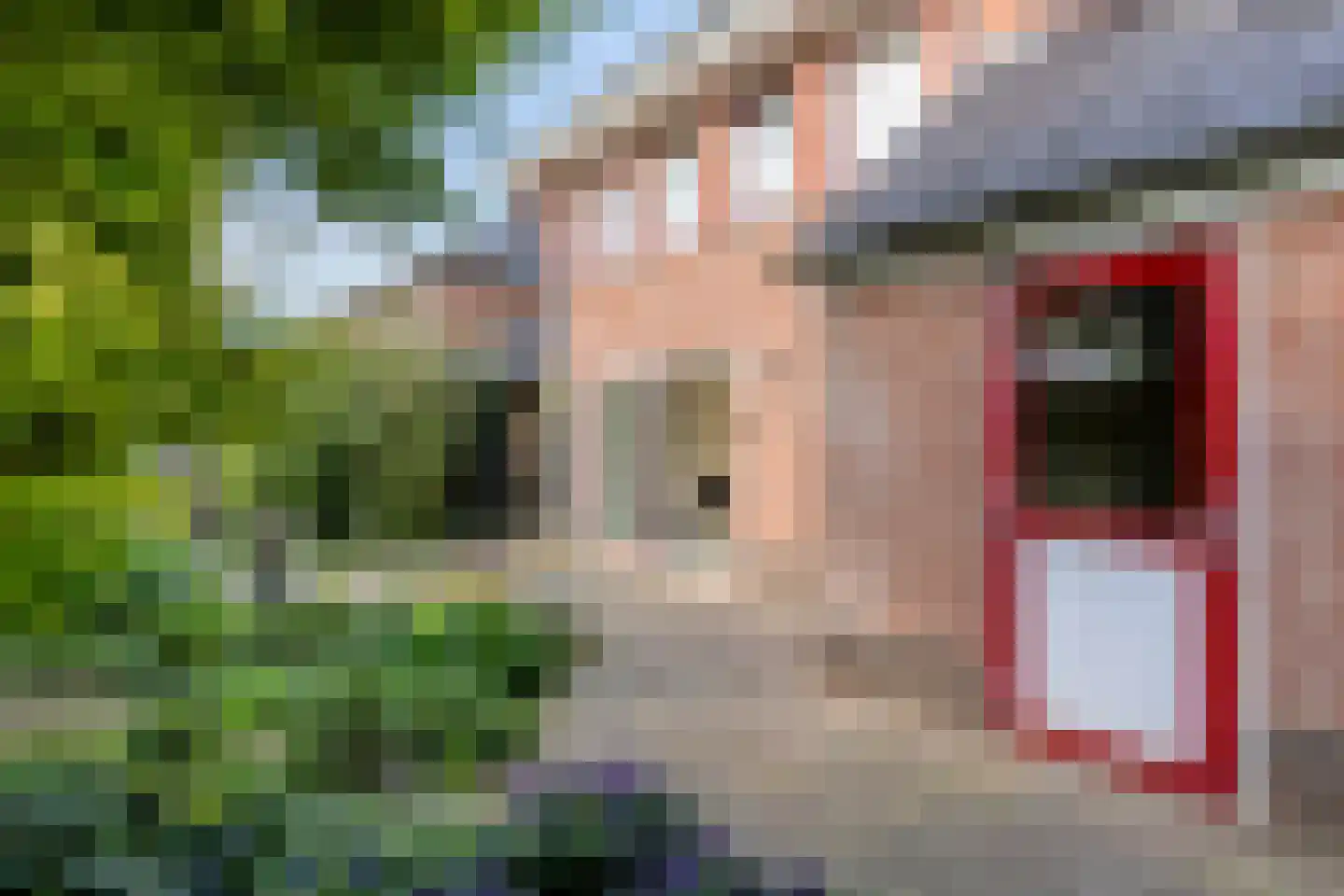 Roodwilligen 87 Zevenaar thumbnail 20