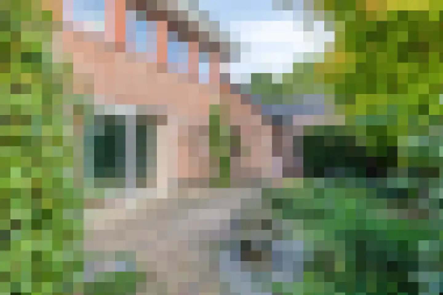 Roodwilligen 87 Zevenaar thumbnail 21