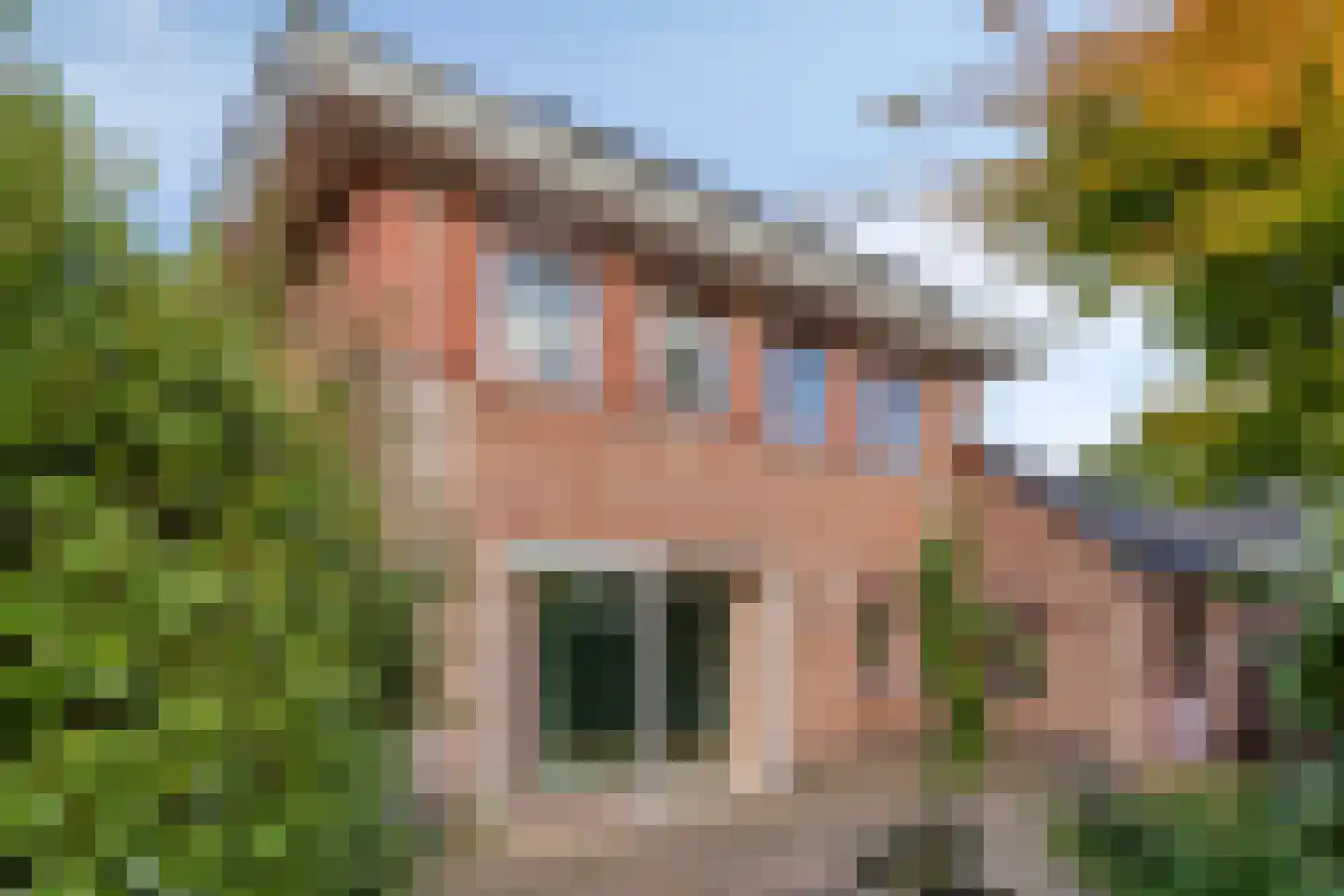 Roodwilligen 87 Zevenaar thumbnail 24