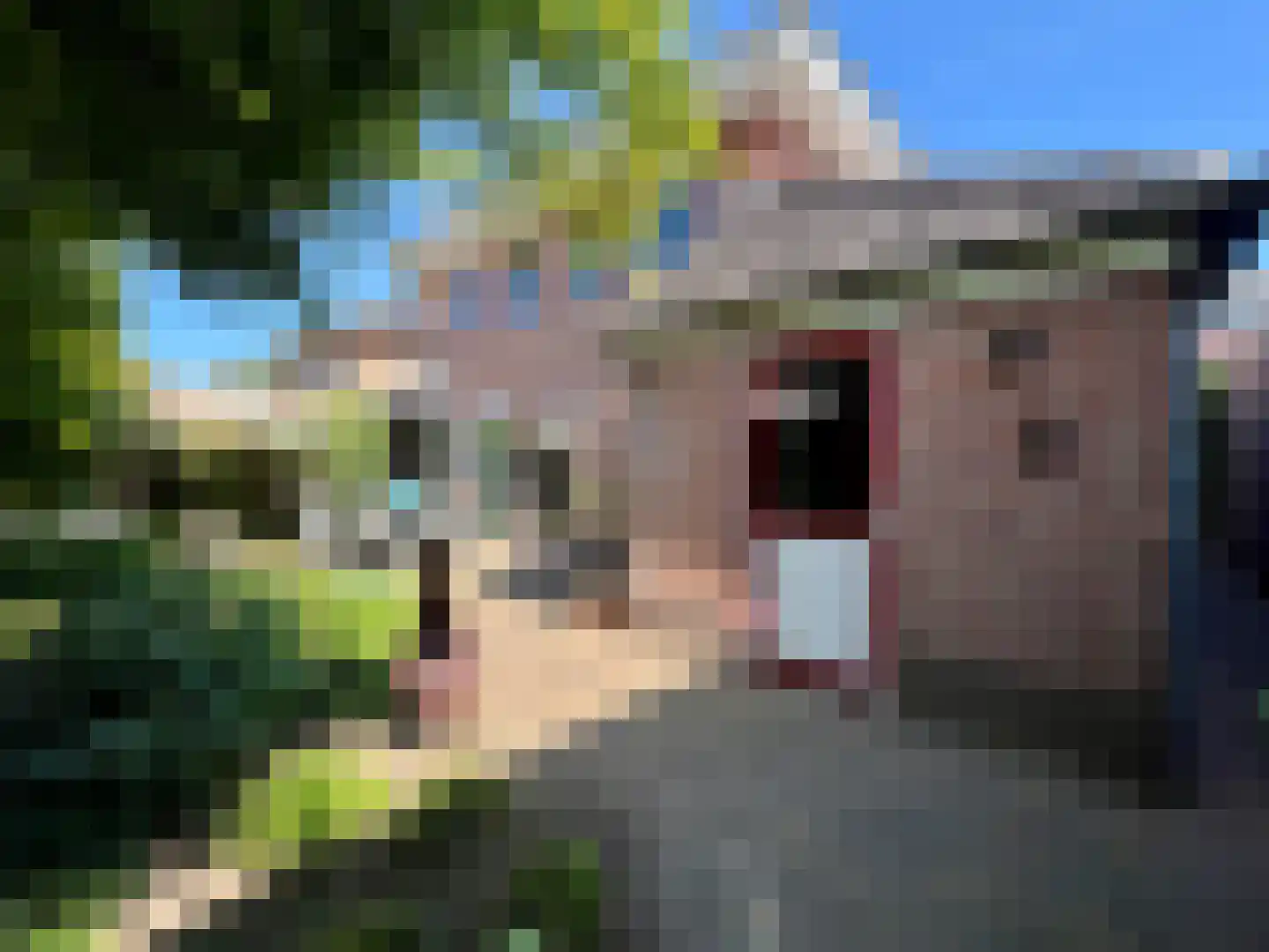 Roodwilligen 87 Zevenaar thumbnail 25