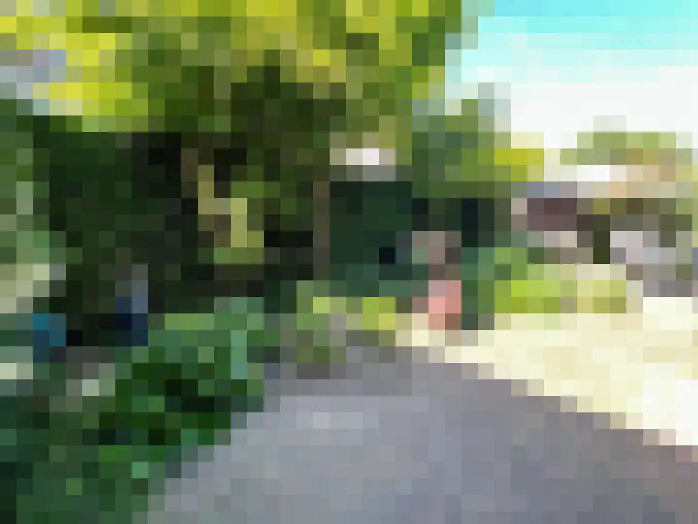 Roodwilligen 87 Zevenaar thumbnail 26