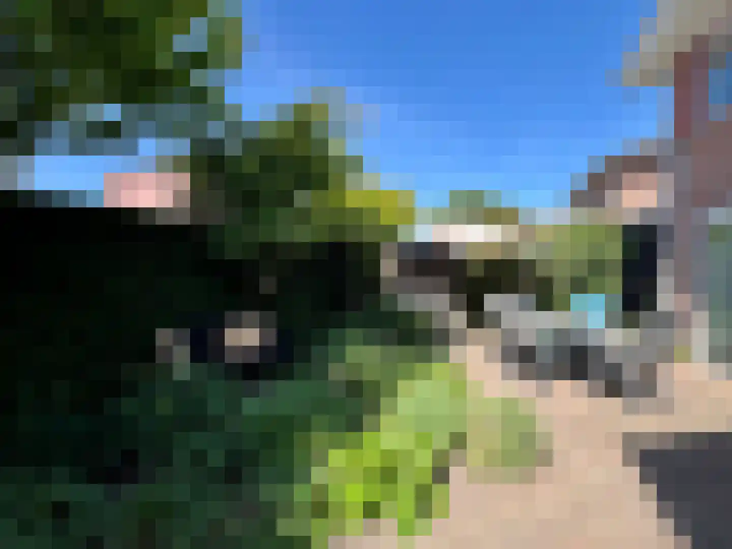 Roodwilligen 87 Zevenaar thumbnail 27
