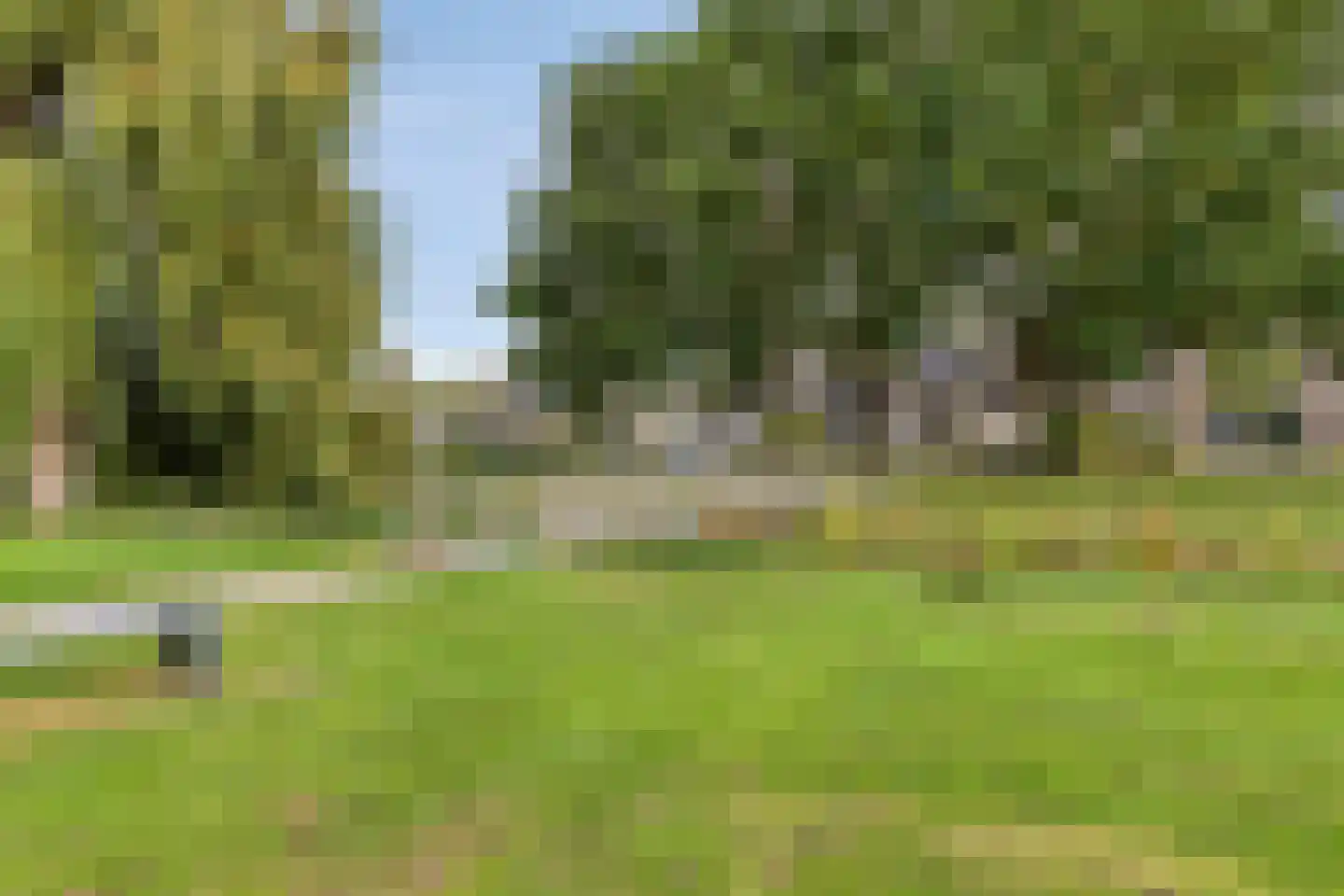 Roodwilligen 87 Zevenaar thumbnail 47