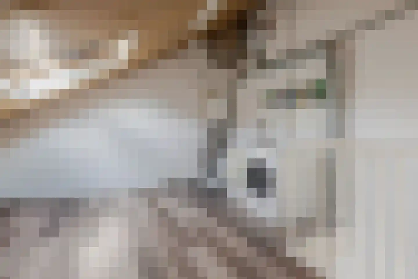 Roodzwenk 12 Eemnes thumbnail 21