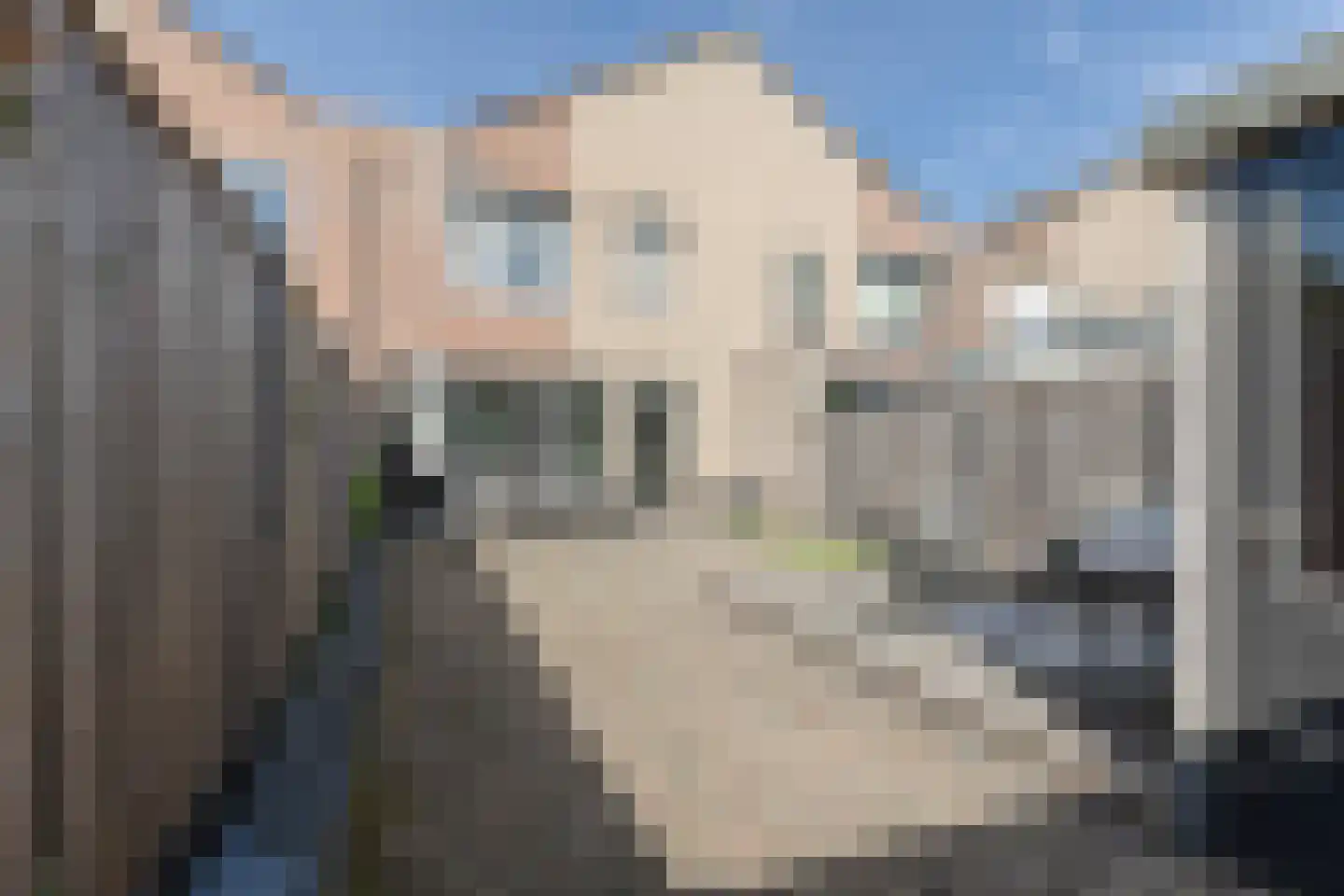 Roodzwenk 12 Eemnes thumbnail 27