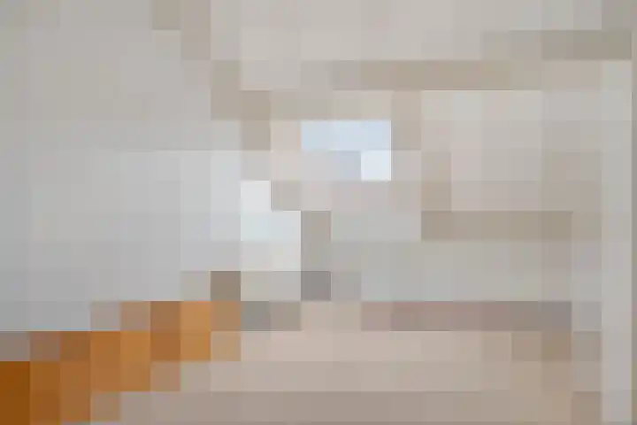 Roofvogelstraat 44 Heinkenszand thumbnail 25