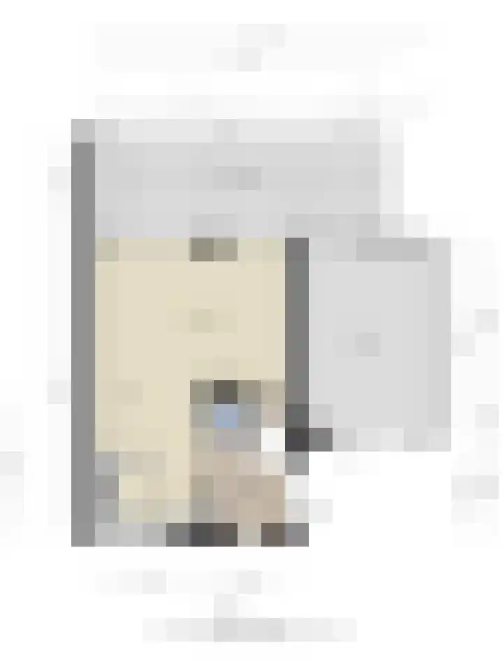 Roofvogelstraat 44 Heinkenszand thumbnail 33