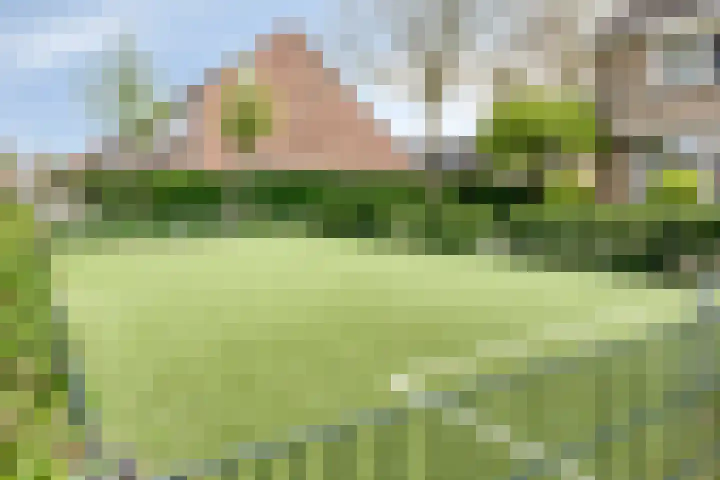 Roofvogelstraat 46 Heinkenszand thumbnail 48