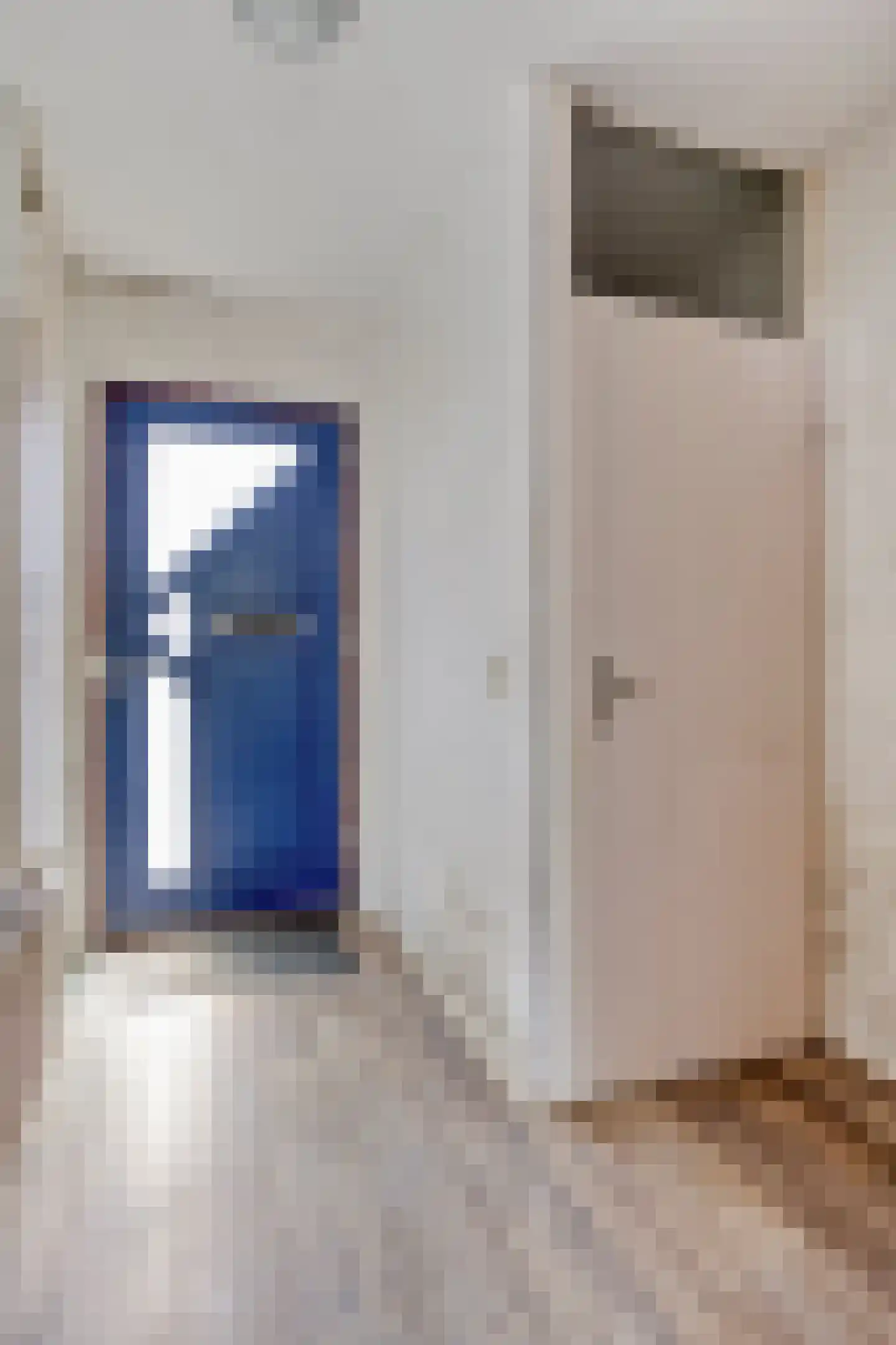 Roofvogelstraat 75 Heinkenszand thumbnail 4