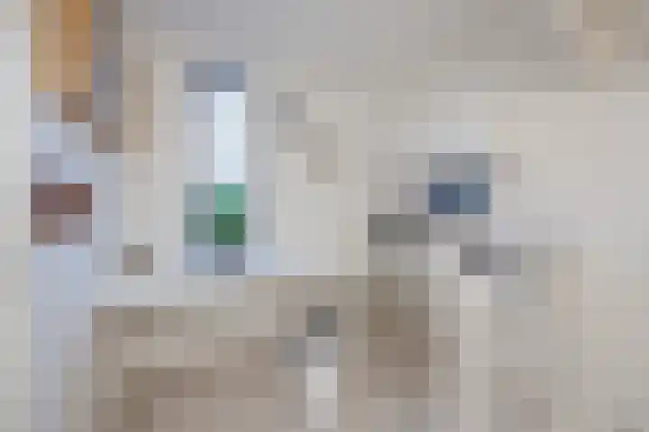 Rooi Hartenpark 1 Tilburg thumbnail 20