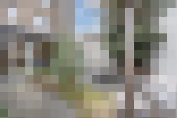 Rooi Hartenpark 1 Tilburg thumbnail 40