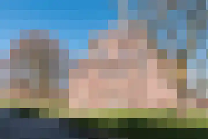 Rooi Hartenpark 1 Tilburg thumbnail 47