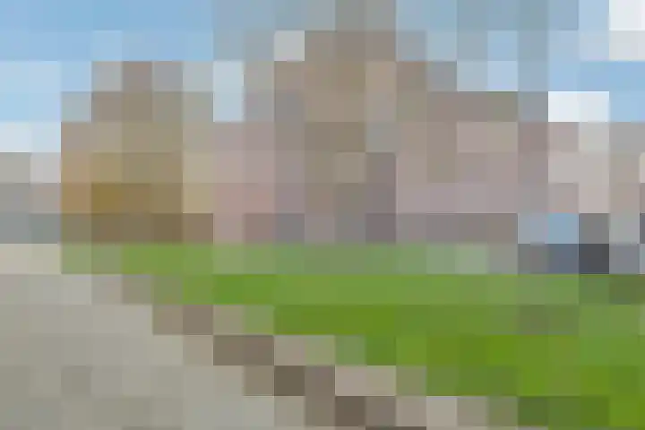 Rooi Hartenpark 1 Tilburg thumbnail 49