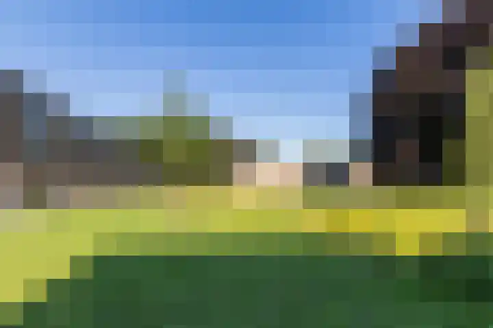 Rooi Hartenpark 1 Tilburg thumbnail 50