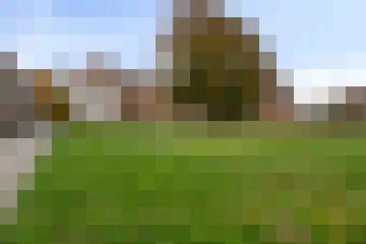 Rooi Hartenpark 43 Tilburg thumbnail 55