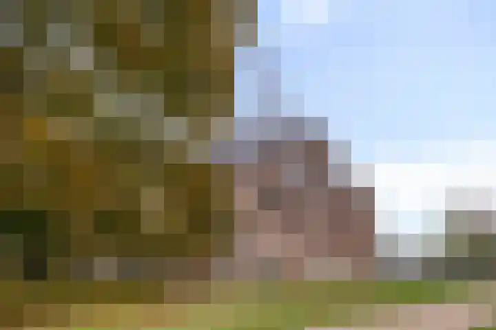 Rooi Hartenpark 43 Tilburg thumbnail 56