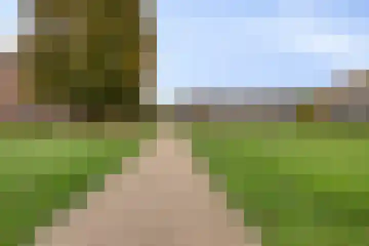 Rooi Hartenpark 43 Tilburg thumbnail 58