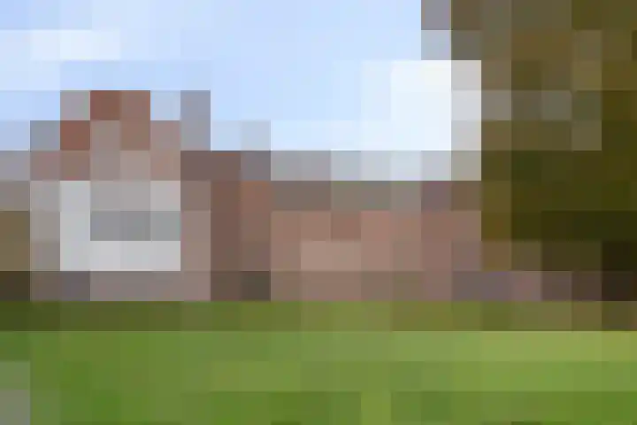 Rooi Hartenpark 43 Tilburg thumbnail 59