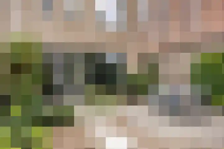Rooi Hartenpark 5 Tilburg thumbnail 22