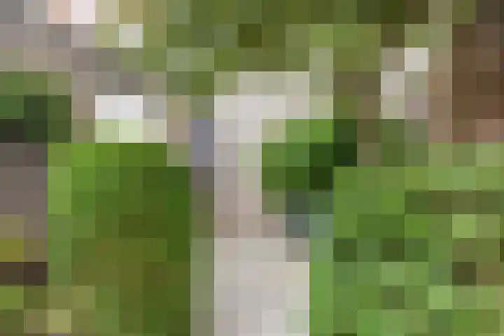 Rooi Hartenpark 5 Tilburg thumbnail 23
