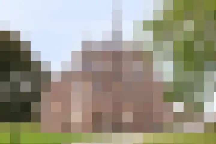 Rooi Hartenpark 5 Tilburg thumbnail 25