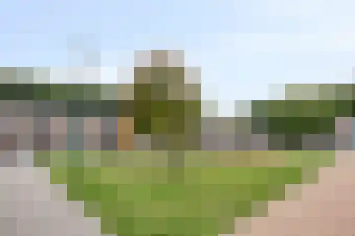 Rooi Hartenpark 5 Tilburg thumbnail 26