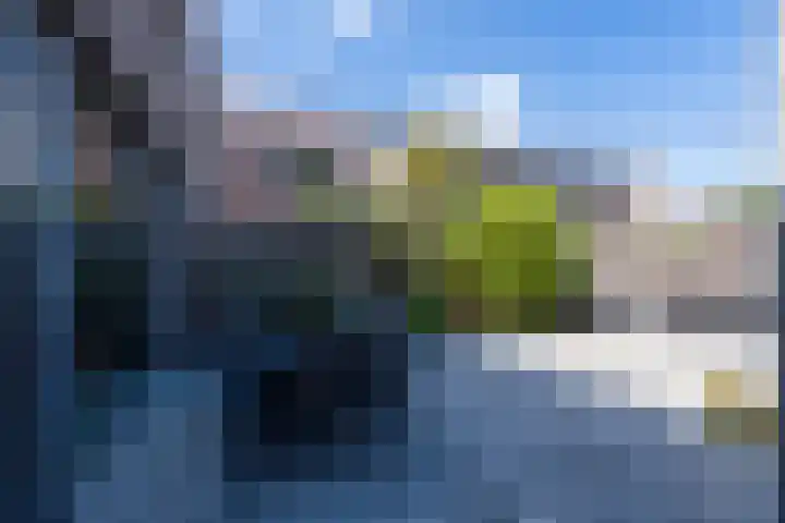 Rooi Hartenpark 8 Tilburg thumbnail 31