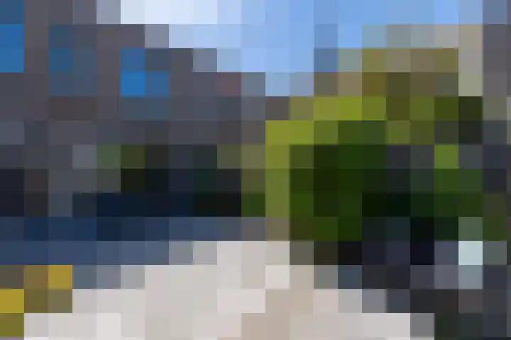 Rooi Hartenpark 8 Tilburg thumbnail 33
