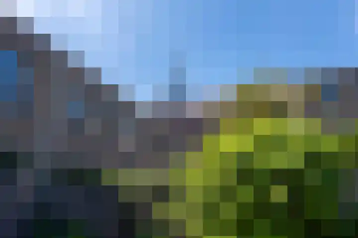 Rooi Hartenpark 8 Tilburg thumbnail 34