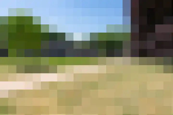 Rooi Hartenpark 8 Tilburg thumbnail 38