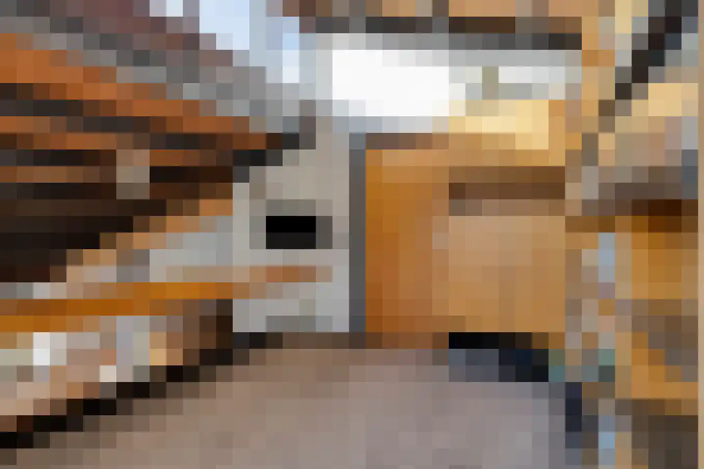 Rooiedal 10 Burgh-Haamstede thumbnail 30