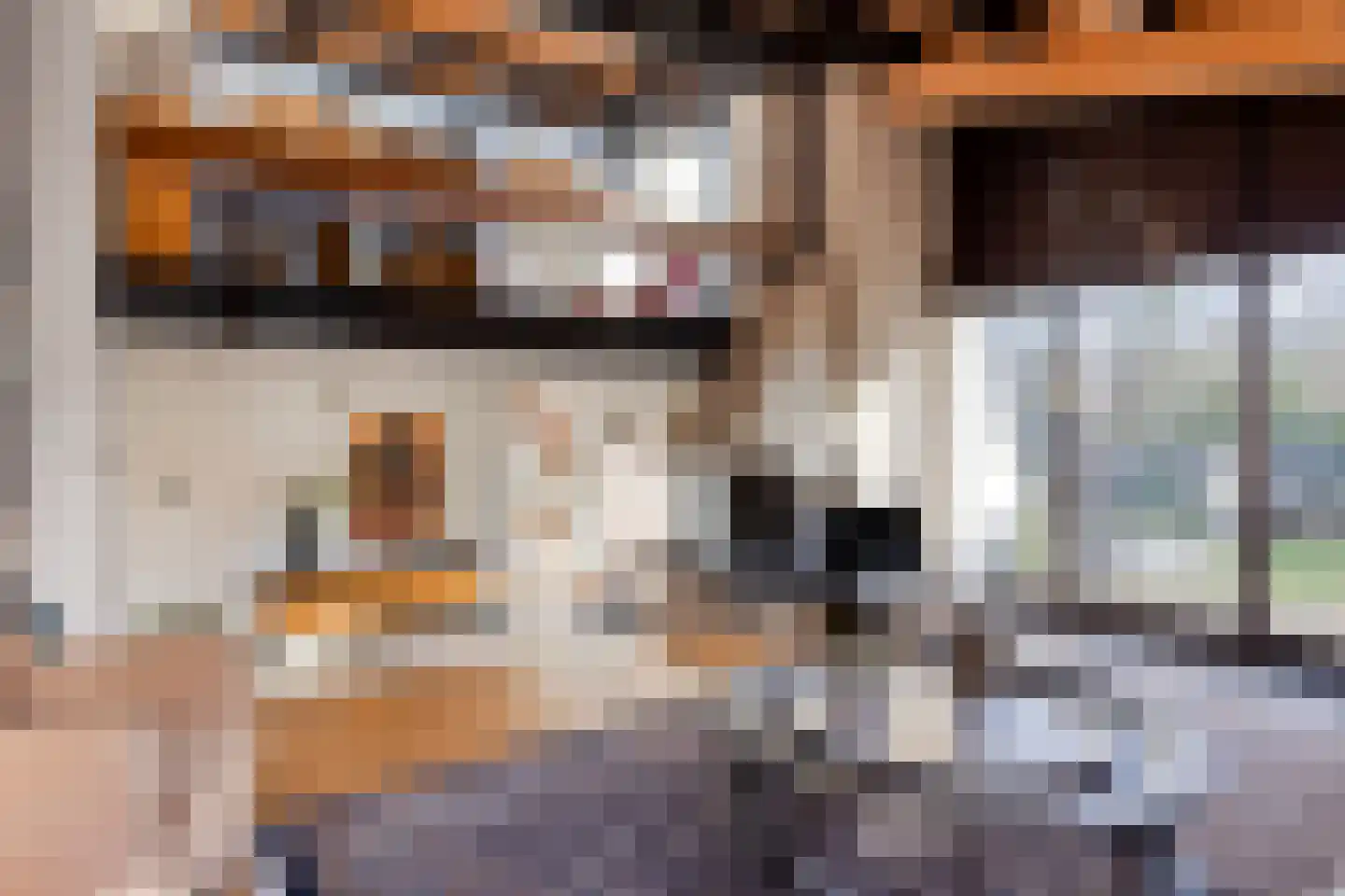 Rooiedal 10 Burgh-Haamstede thumbnail 4
