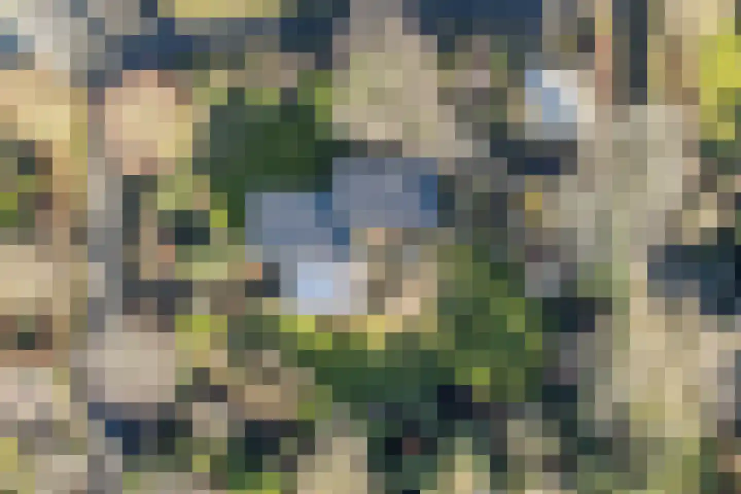 Rooiedal 10 Burgh-Haamstede thumbnail 41