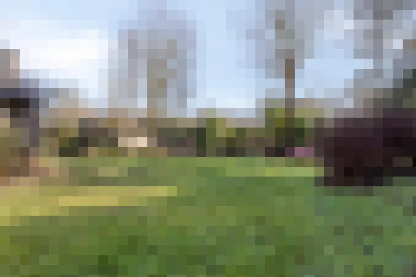 Rooiedal 10 Burgh-Haamstede thumbnail 48