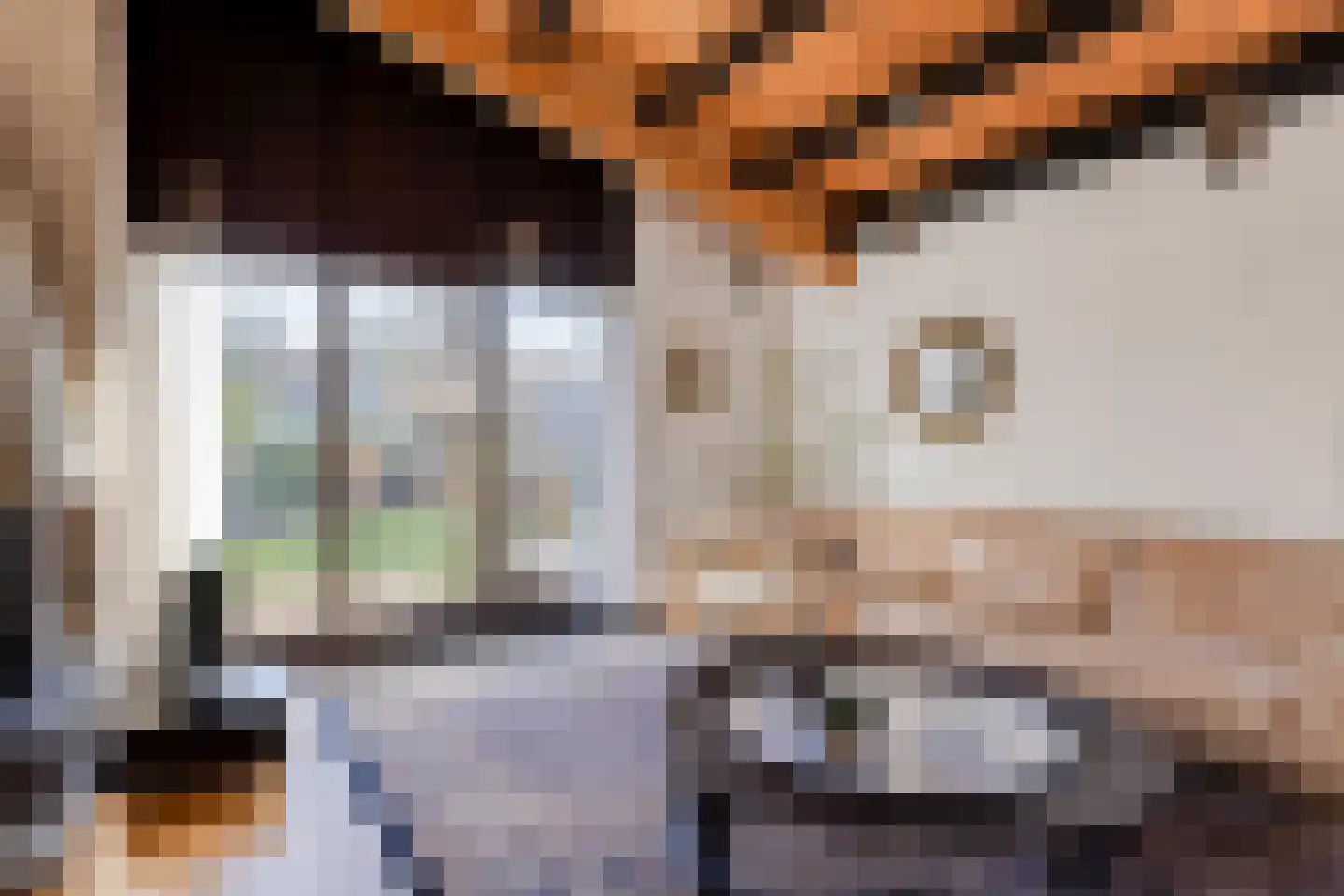Rooiedal 10 Burgh-Haamstede thumbnail 5