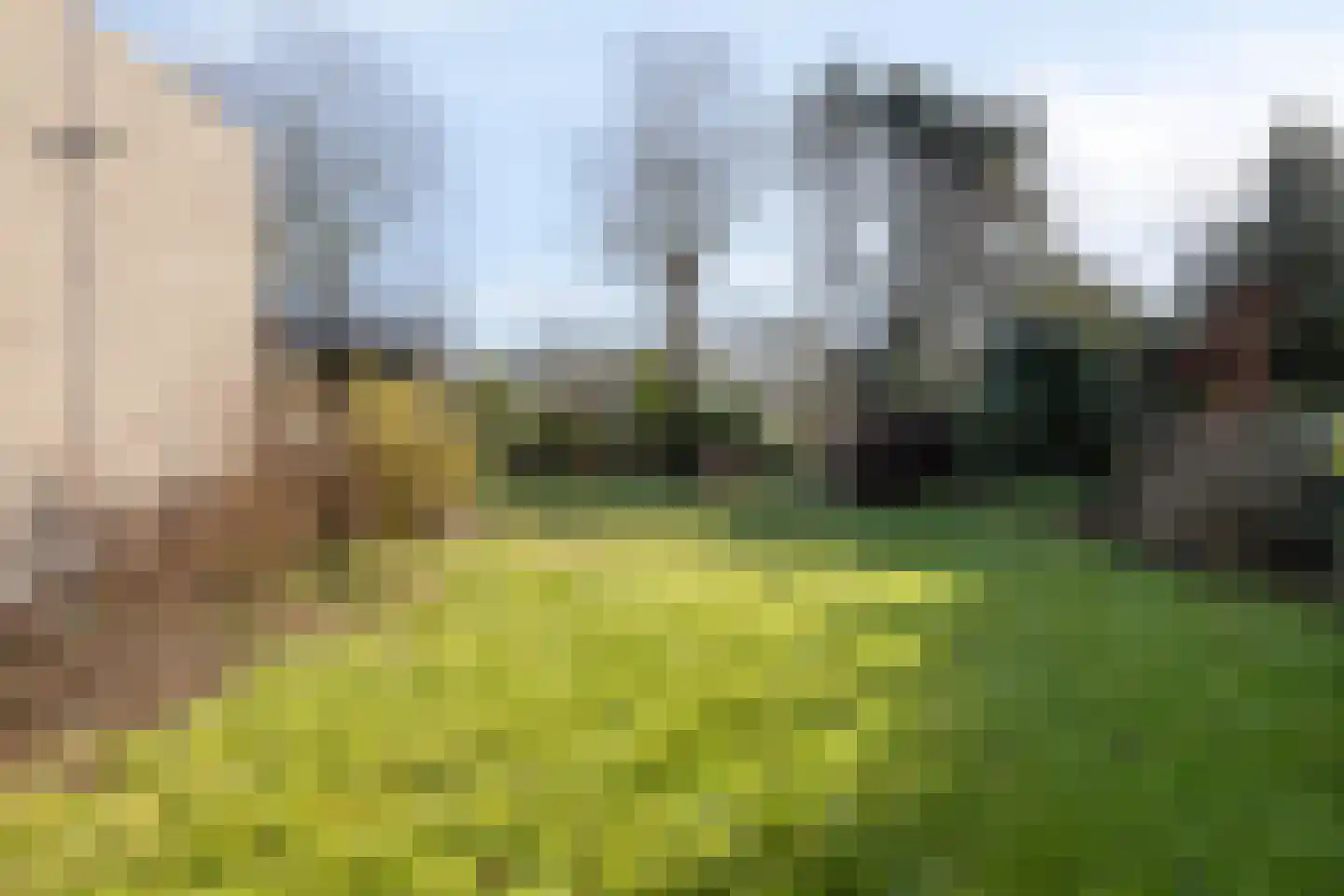 Rooiedal 10 Burgh-Haamstede thumbnail 50