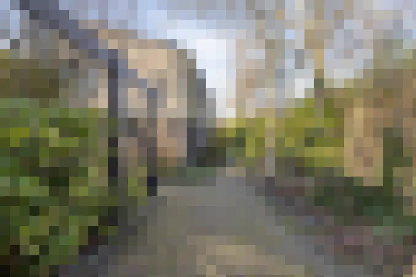 Rooiedal 10 Burgh-Haamstede thumbnail 53