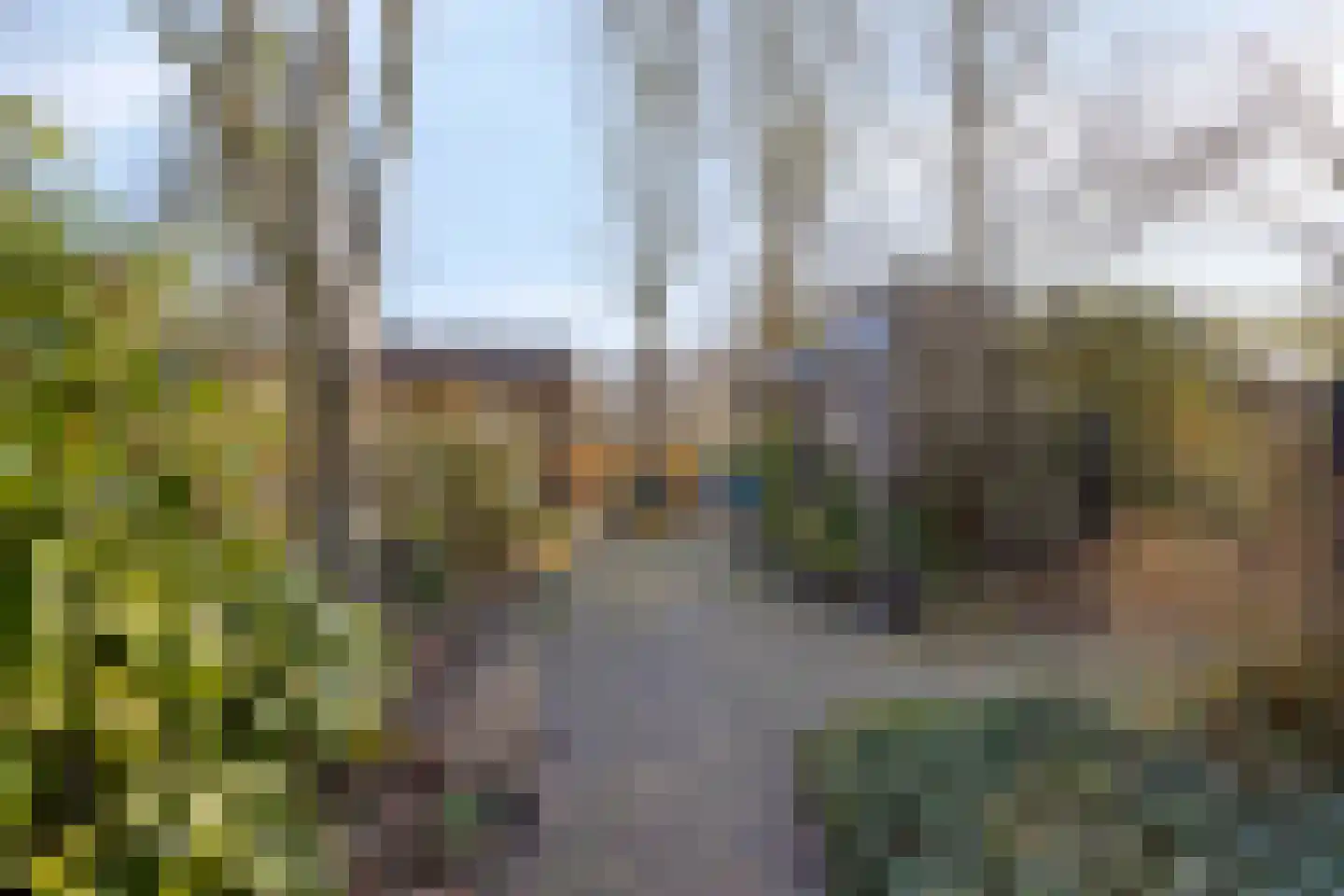 Rooiedal 10 Burgh-Haamstede thumbnail 54