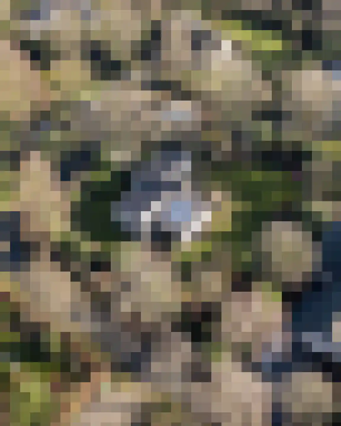 Rooiedal 10 Burgh-Haamstede thumbnail 57