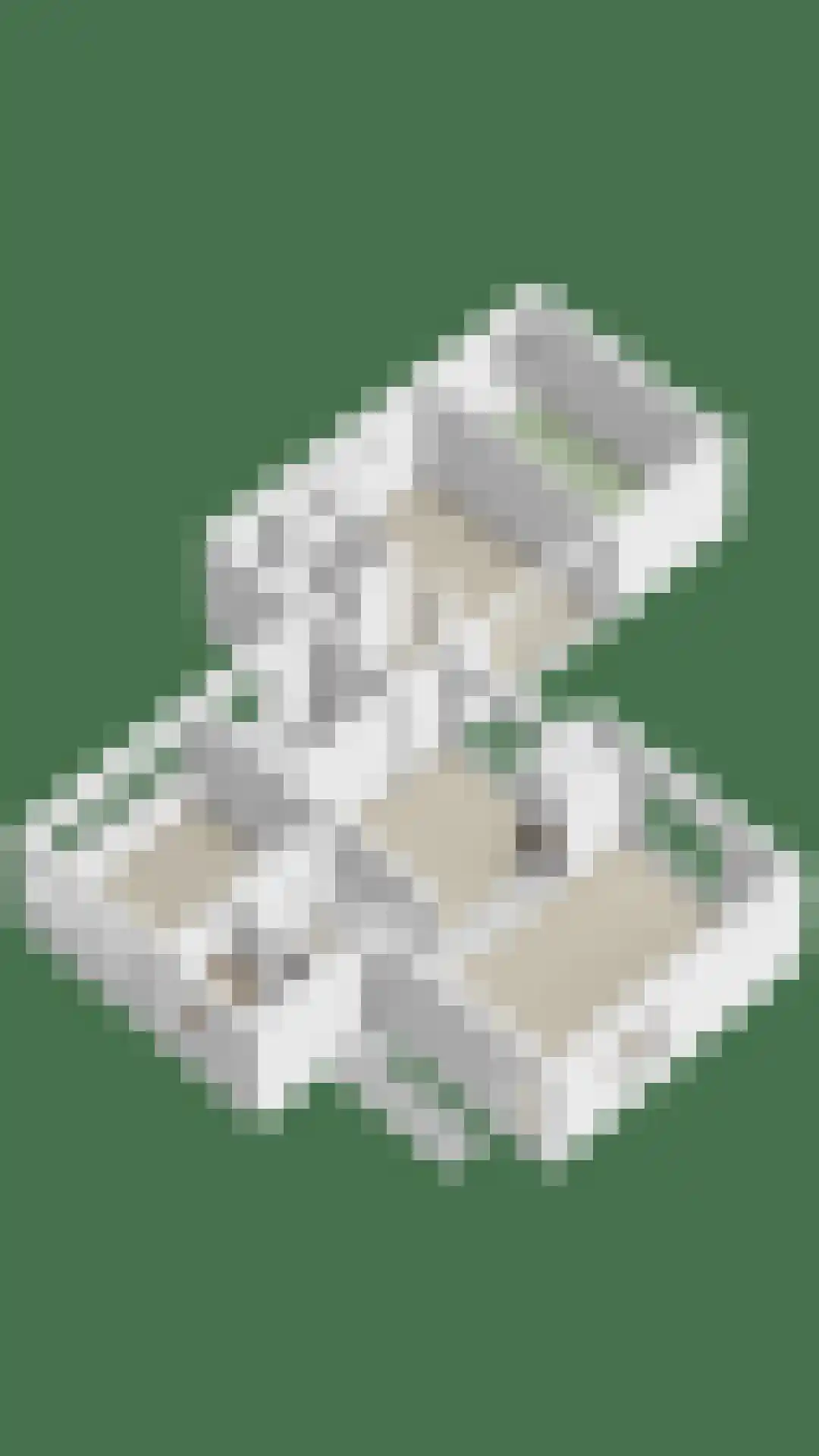 Rooiedal 10 Burgh-Haamstede thumbnail 60