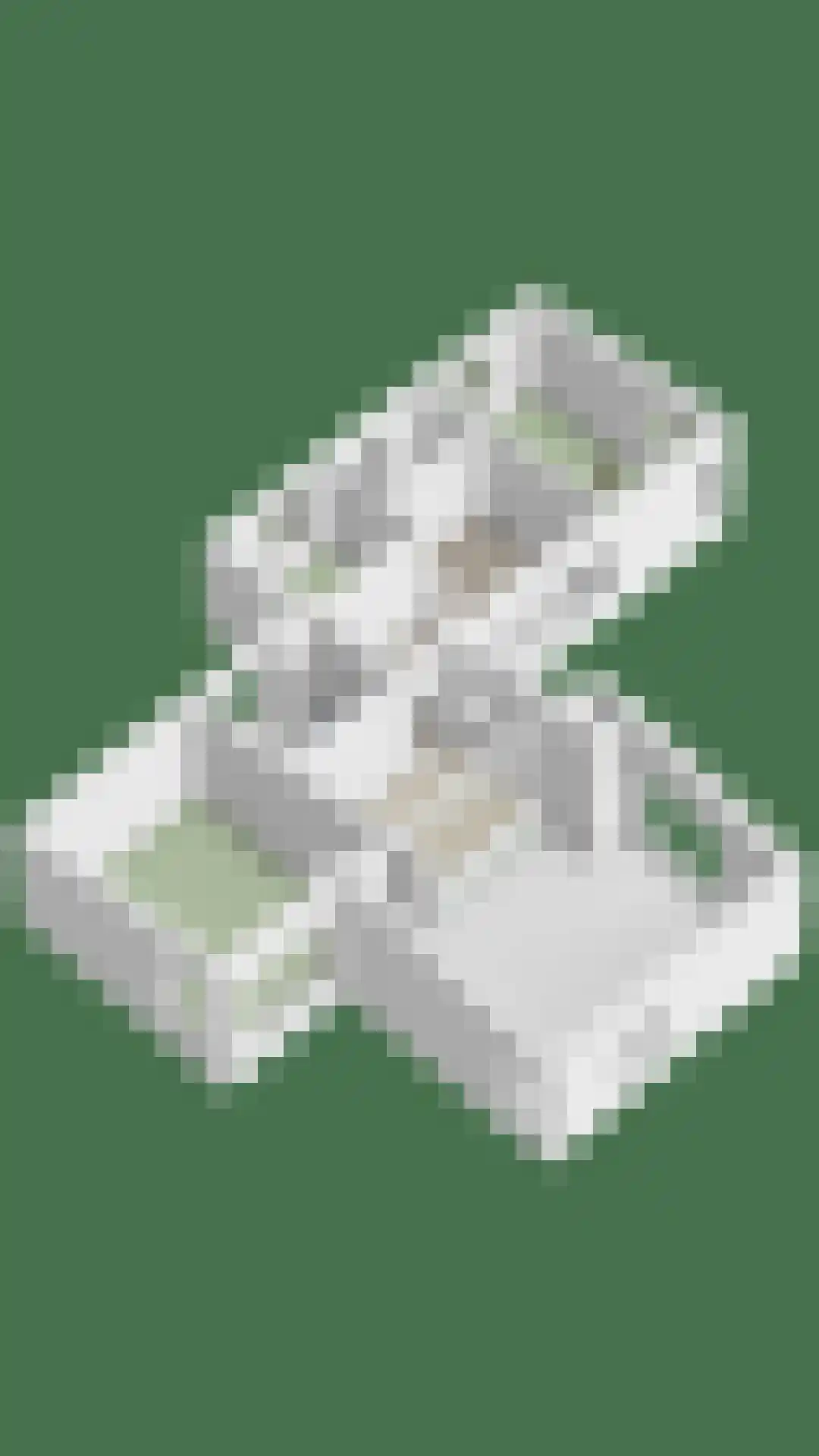 Rooiedal 10 Burgh-Haamstede thumbnail 62
