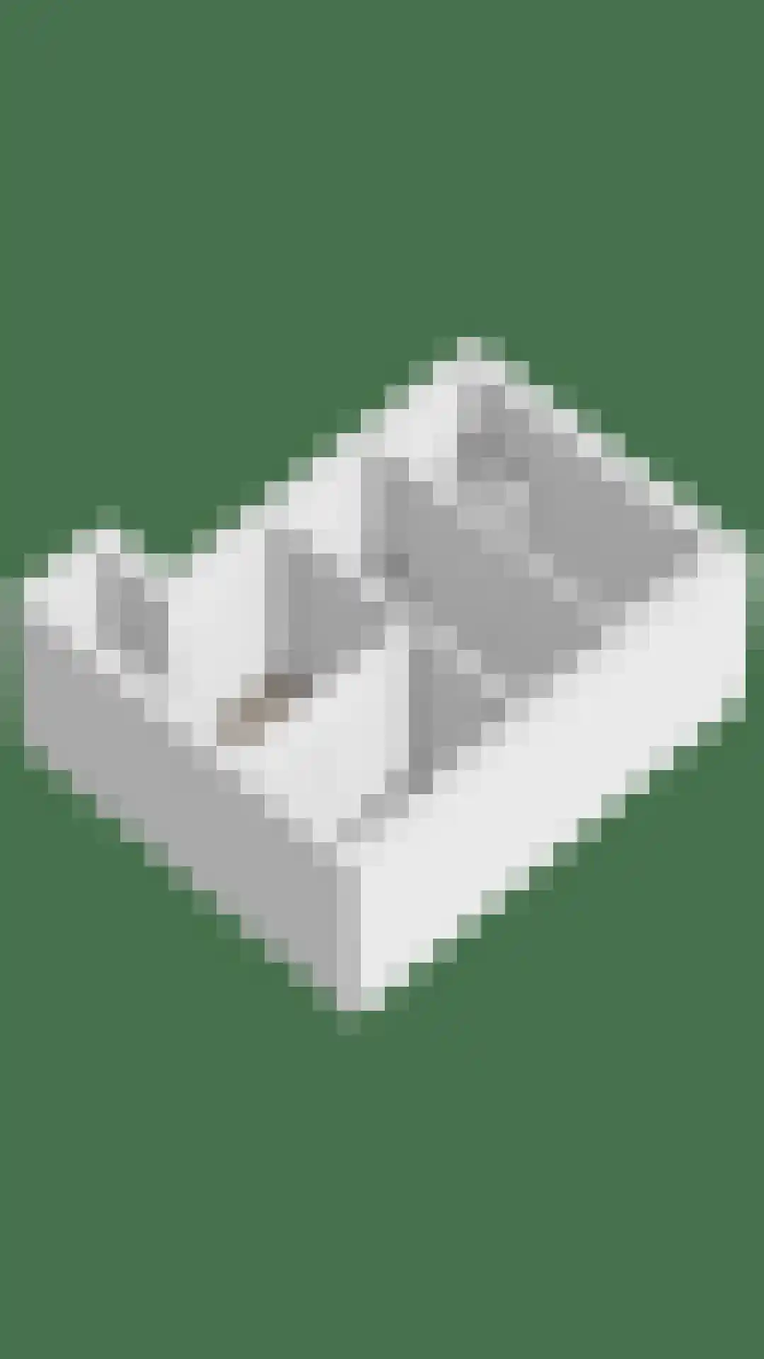 Rooiedal 10 Burgh-Haamstede thumbnail 64