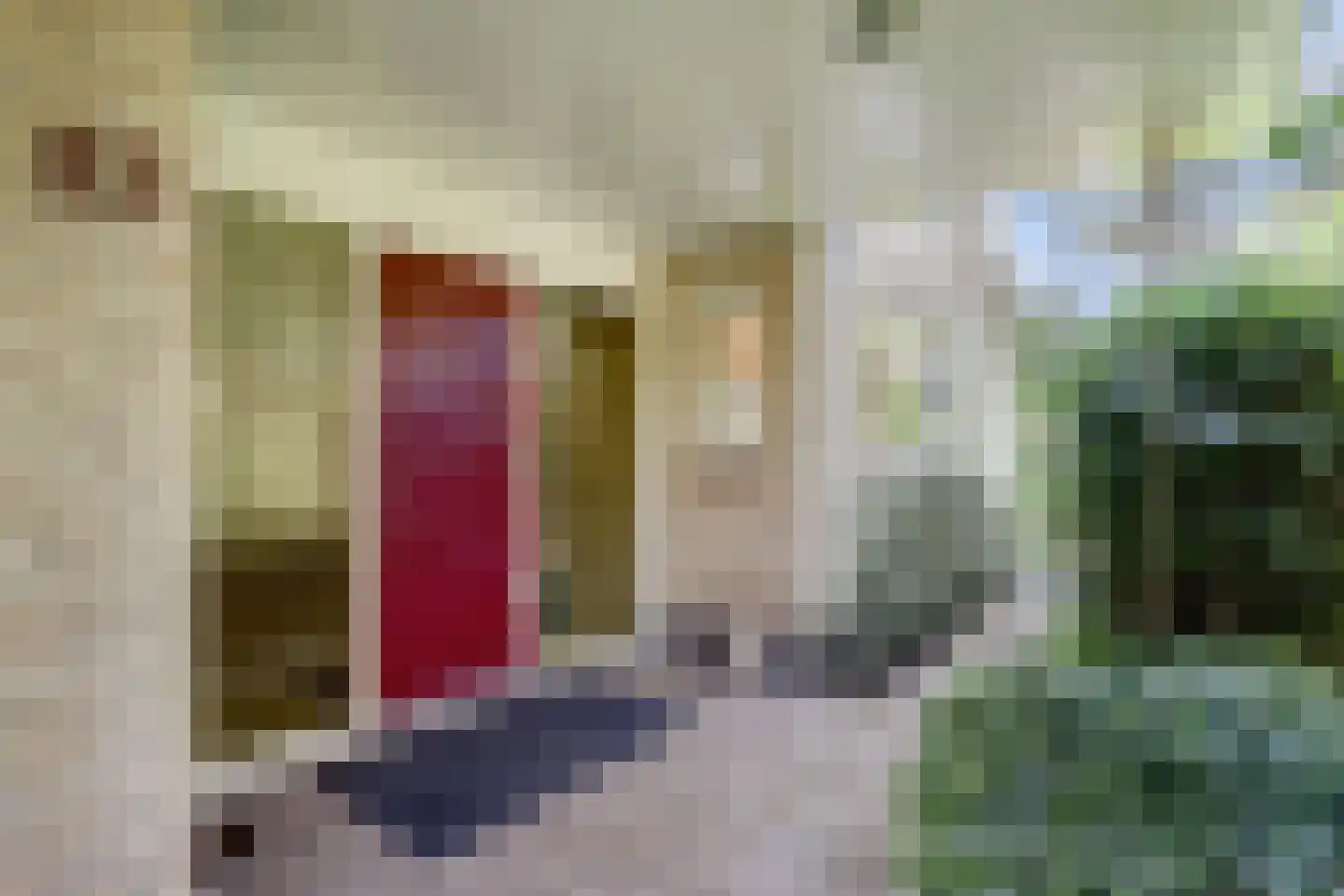 Rooiedal 22 Burgh-Haamstede thumbnail 11
