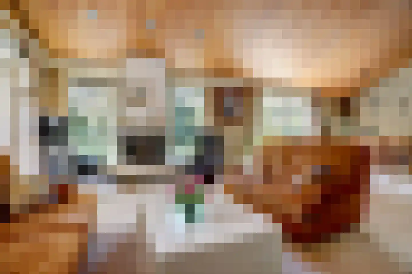 Rooiedal 22 Burgh-Haamstede thumbnail 17