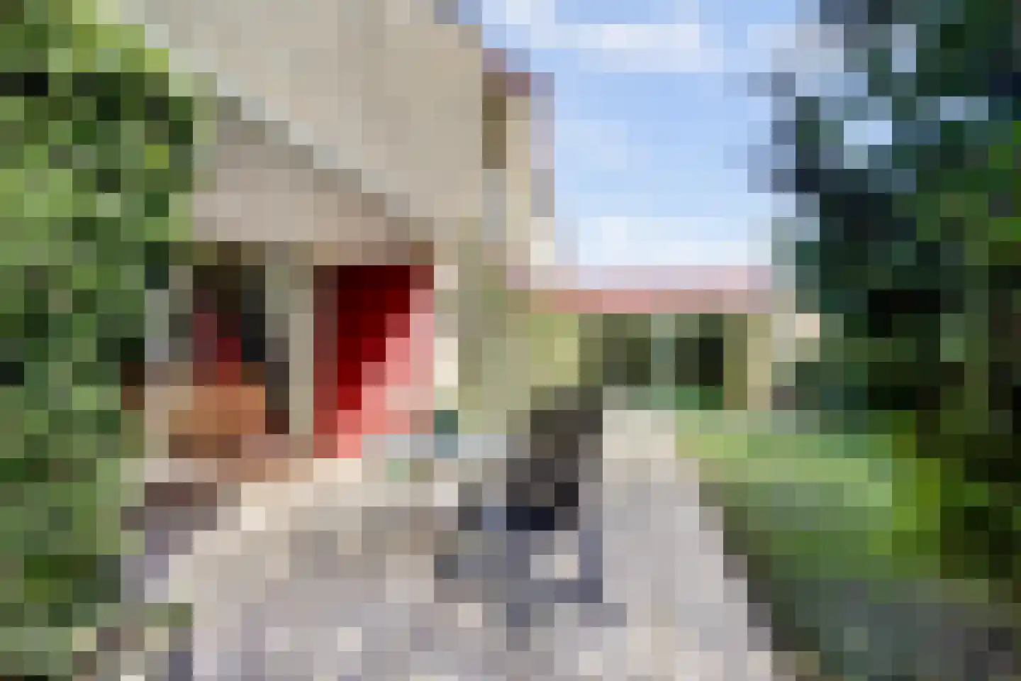 Rooiedal 22 Burgh-Haamstede thumbnail 30