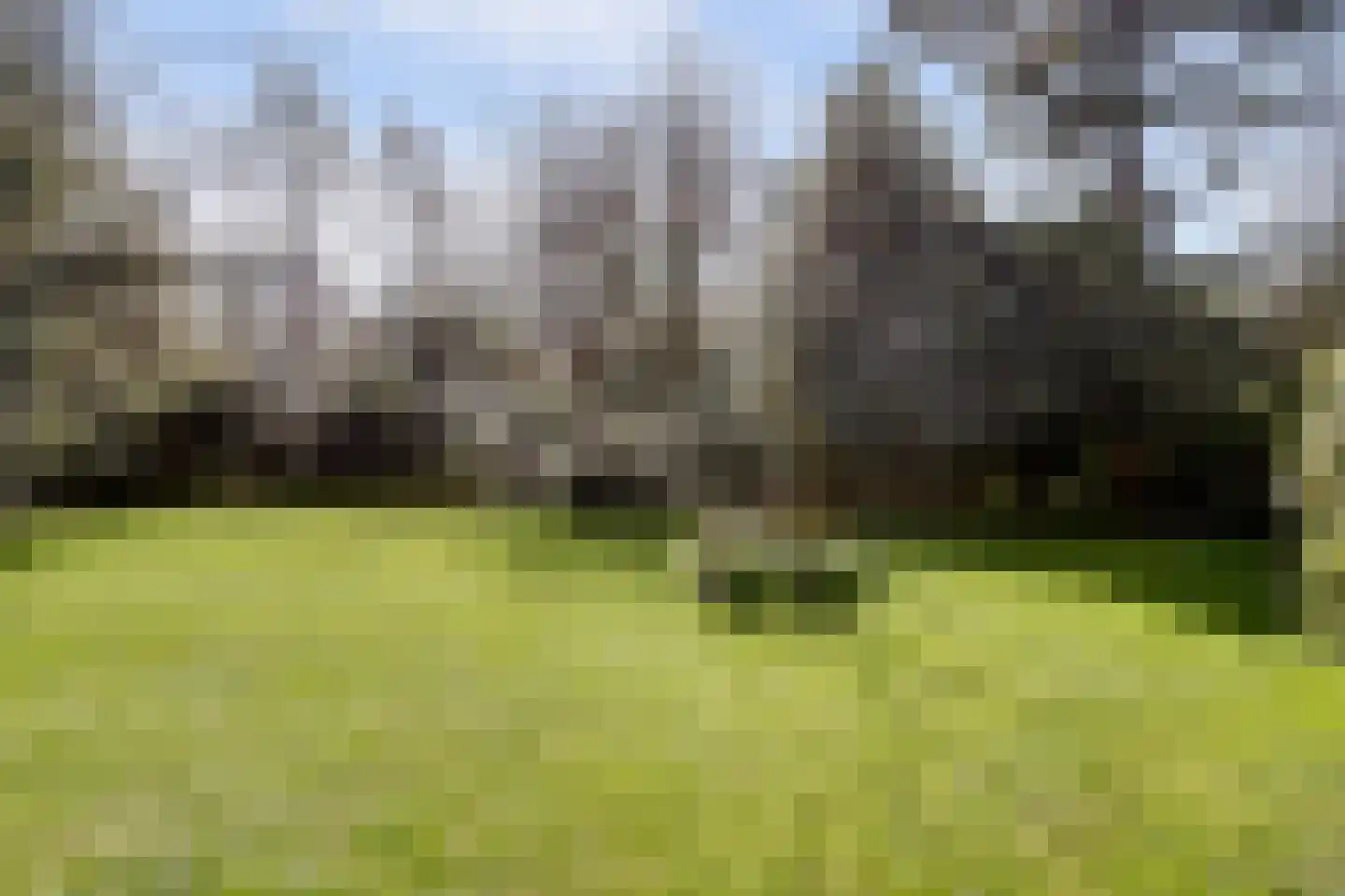 Rooiedal 22 Burgh-Haamstede thumbnail 31